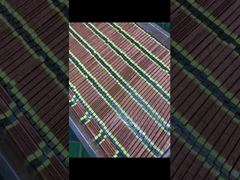 OEM High Intensity UV Curing Lamp 20000 Hours Lifespan For Inkjet Printer​